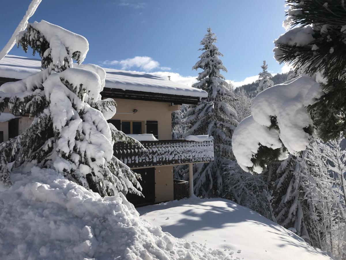 Chalet Les Trolles Les Gets Luaran gambar